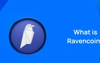 What-is-Ravencoin_-1